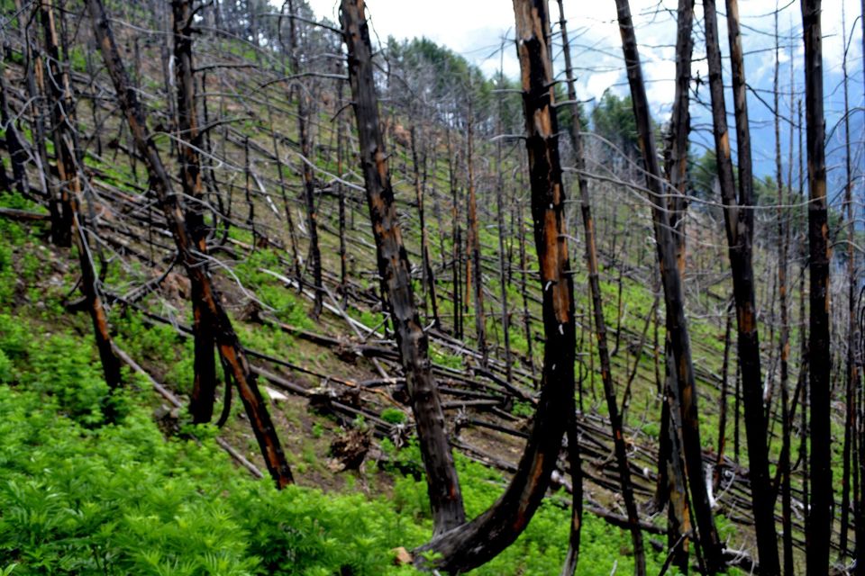Photo of Trek to Gangabal Lake, Nundkol Lake 5/163 by Tahir Wani