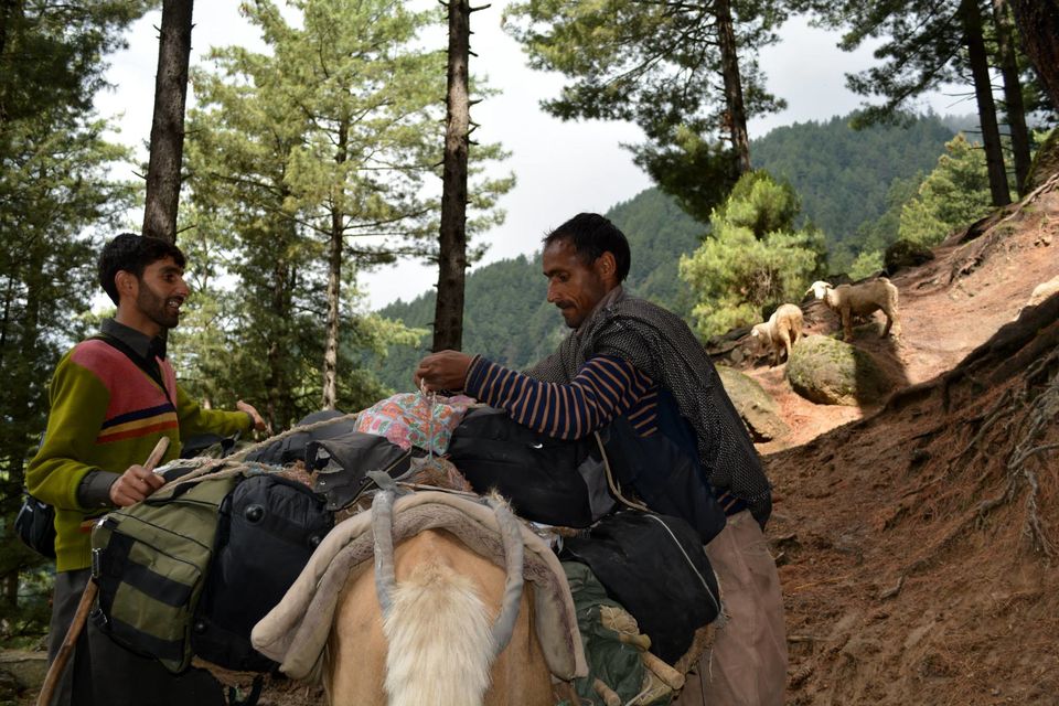 Photo of Trek to Gangabal Lake, Nundkol Lake 7/163 by Tahir Wani