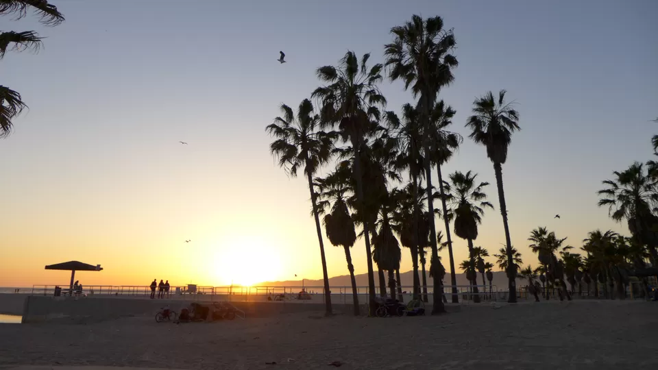Photo of Venice Beach, Los Angeles, CA, USA by Annie Benzie
