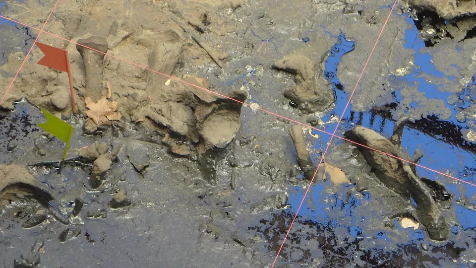 Photo of The La Brea Tar Pits and Museum, Wilshire Boulevard, Los Angeles, CA, USA by Annie Benzie