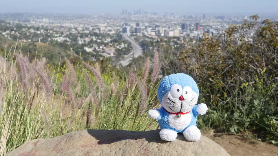 Photo of Mulholland Drive, Los Angeles, CA, USA by Annie Benzie