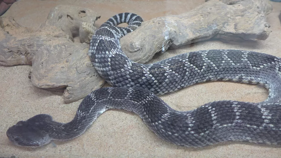 Photo of Vasquez Rocks, California, USA by Annie Benzie
