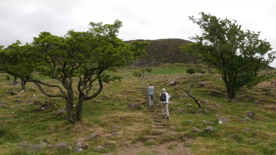 Photo of Slemish, Ballymena, UK by Annie Benzie