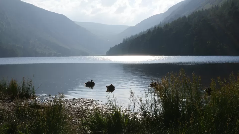 Photo of Glendalough, County Wicklow, Ireland by Annie Benzie