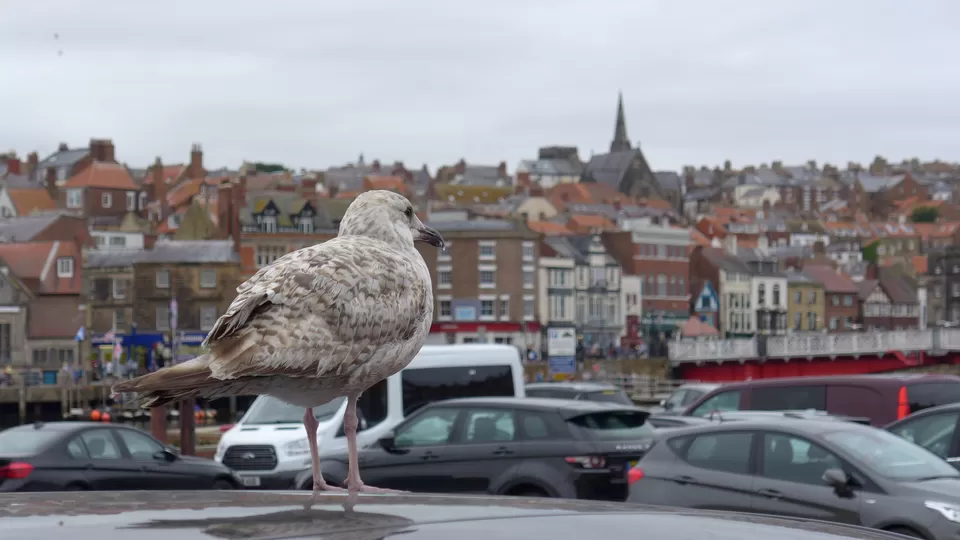 Photo of Whitby, UK by Annie Benzie