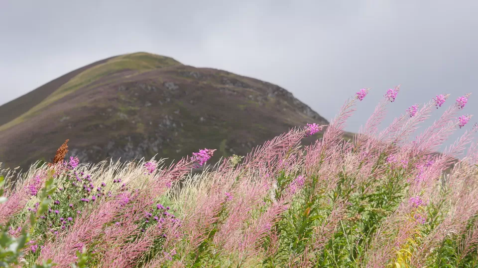 Photo of Arthur's Seat, Edinburgh, UK by Annie Benzie