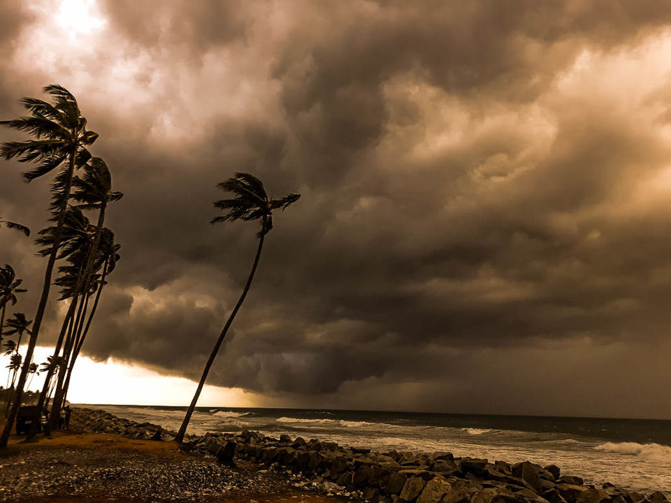 Photo of Varkala- Offbeat beach destination of Kerala - Sreya Dasgupta by Sreya Dasgupta