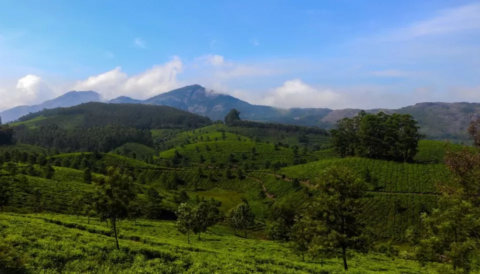 Photo of Munnar, Kerala, India by Sreya Dasgupta