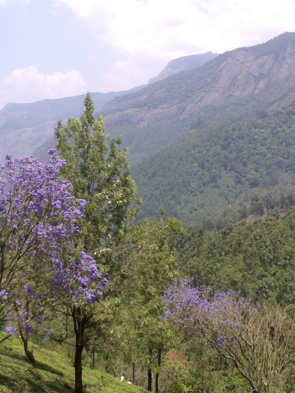 Photo of Why I Travelled Solo to Kerala and You Should Do Too At Least Once 8/8 by Nagabhushan M N