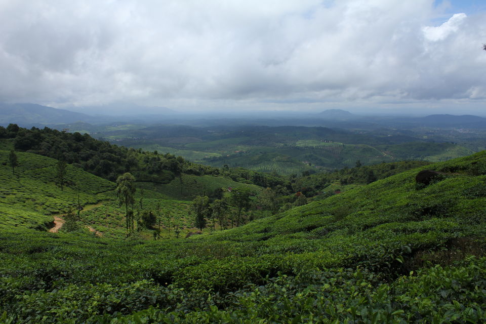 Photo of A DAY GUIDE TO WAYANAD by Husein Haveliwala