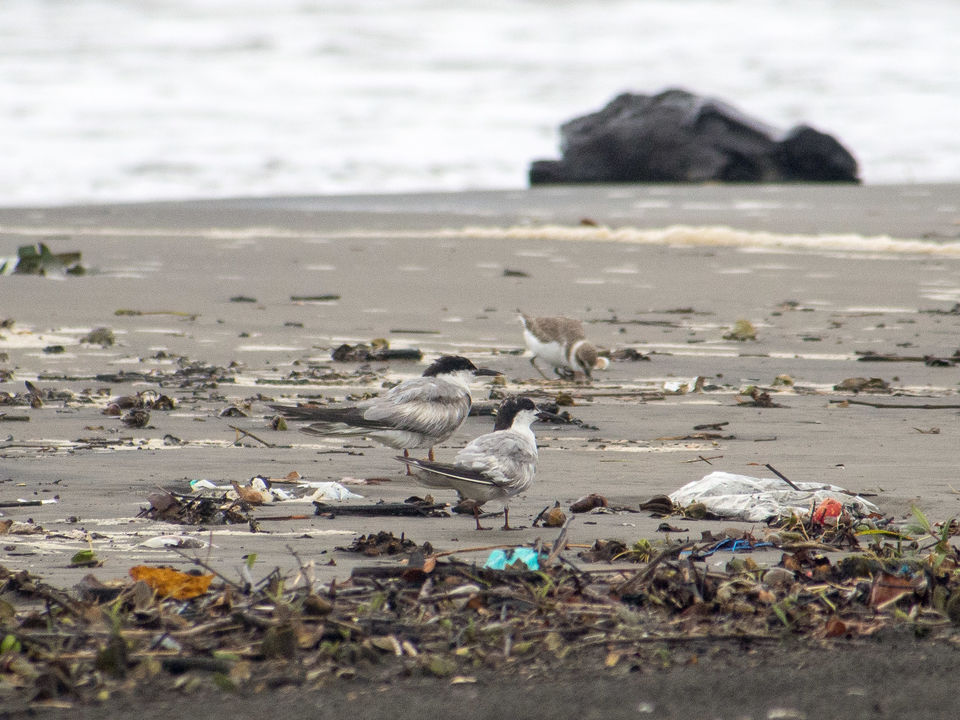 Photo of Goa’s Vices – Deep Pockets and Shores of Waste 2/4 by Husein Haveliwala