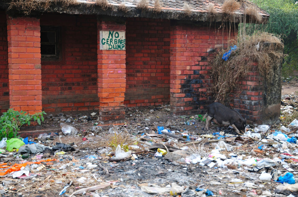 Photo of Goa’s Vices – Deep Pockets and Shores of Waste 4/4 by Husein Haveliwala