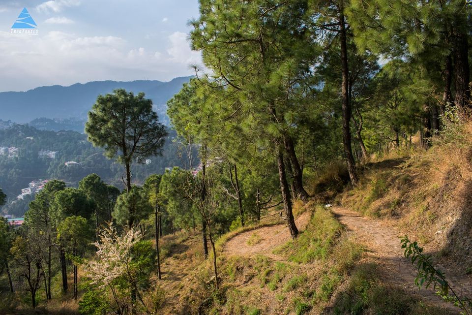 Photo of 6 Reasons to do Karol Tibba Trek - Single day hike near Chandigarh 3/3 by Nitin Mahajan
