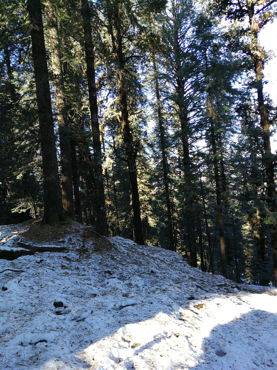 Photo of Sankari, Uttarakhand, India by Sathish