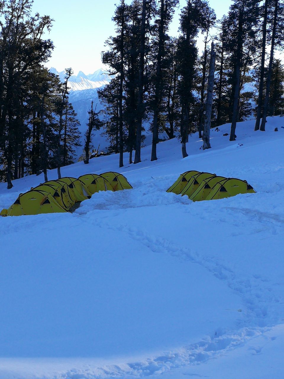 Photo of Sankri, Uttarakhand, India by Sathish