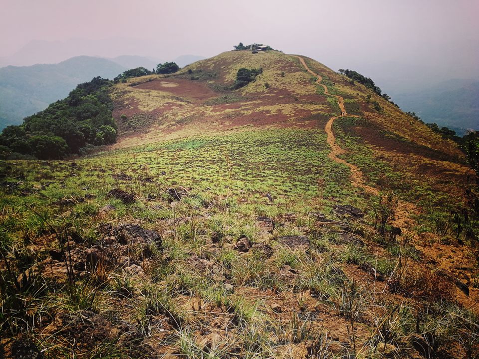 Photo of What you need to know about trekking in god's own country:PAITHALAMALA TREK 2/4 by thesolitarybackpacker
