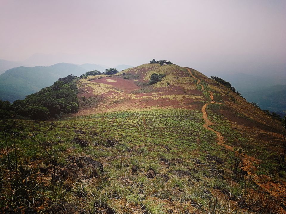 Photo of What you need to know about trekking in god's own country:PAITHALAMALA TREK by thesolitarybackpacker