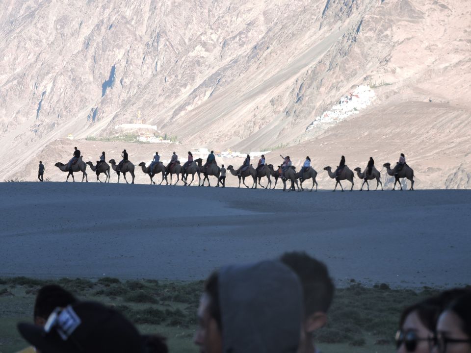 Photo of Nubra Valley by nikhil Satpute