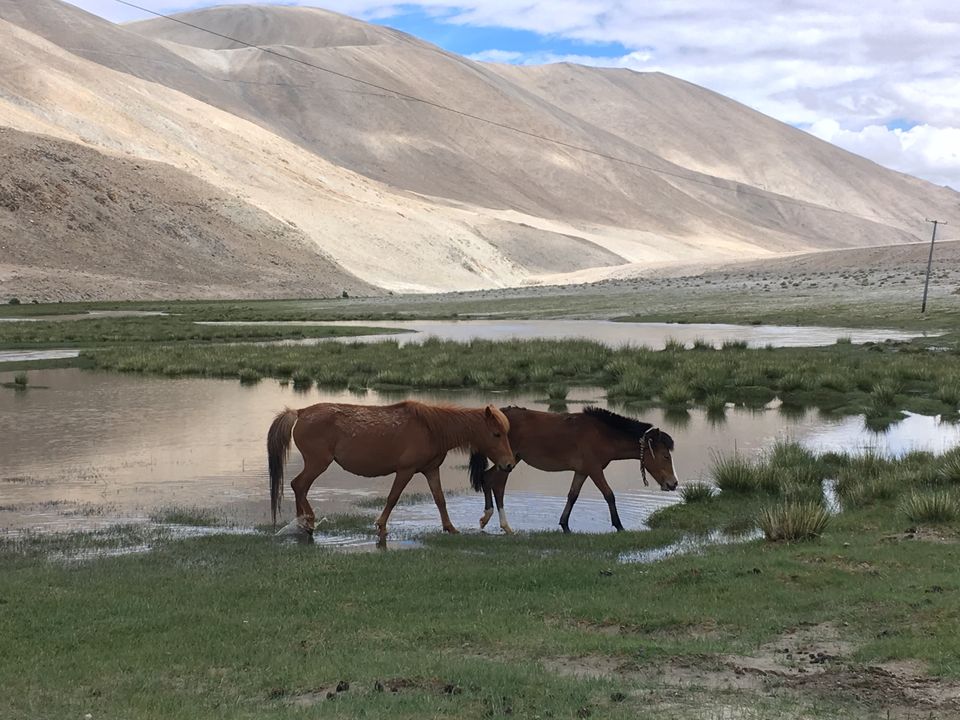 Photo of Chushul by nikhil Satpute