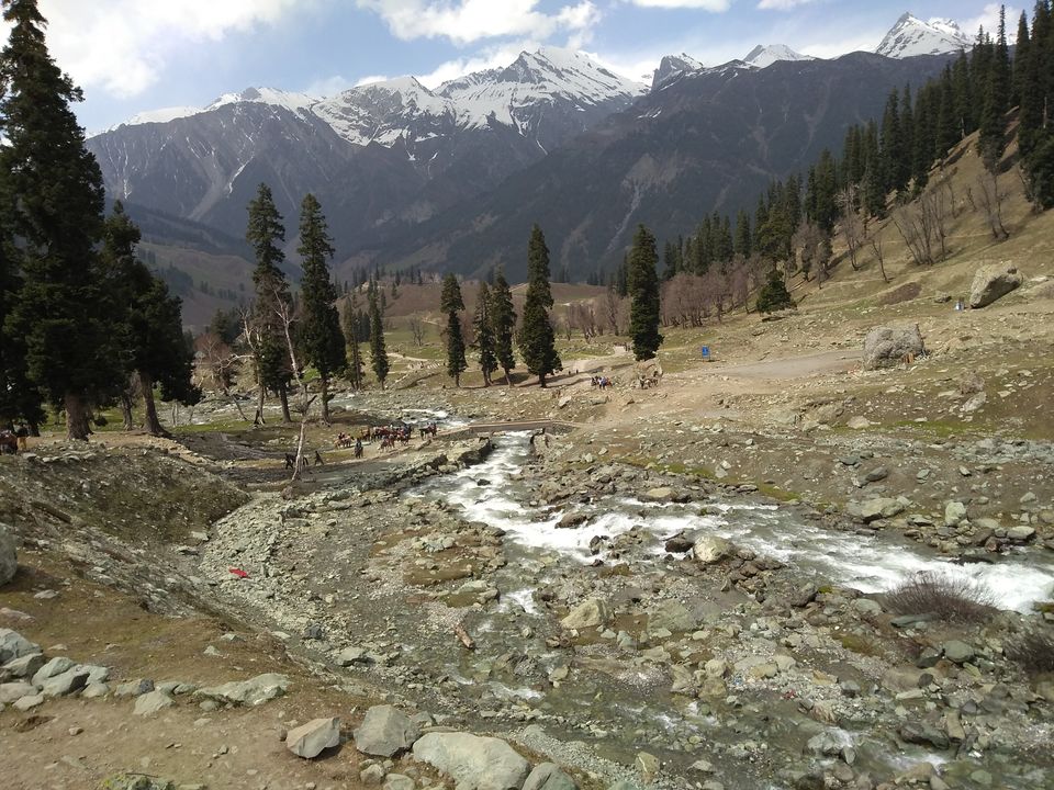 Photo of Kashmir Valley by Saptadeepa Bandopadhyay