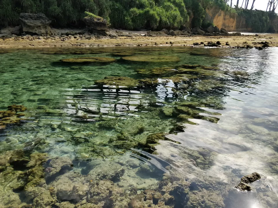 Photo of Neil Island, Andaman and Nicobar Islands by Saptadeepa Bandopadhyay