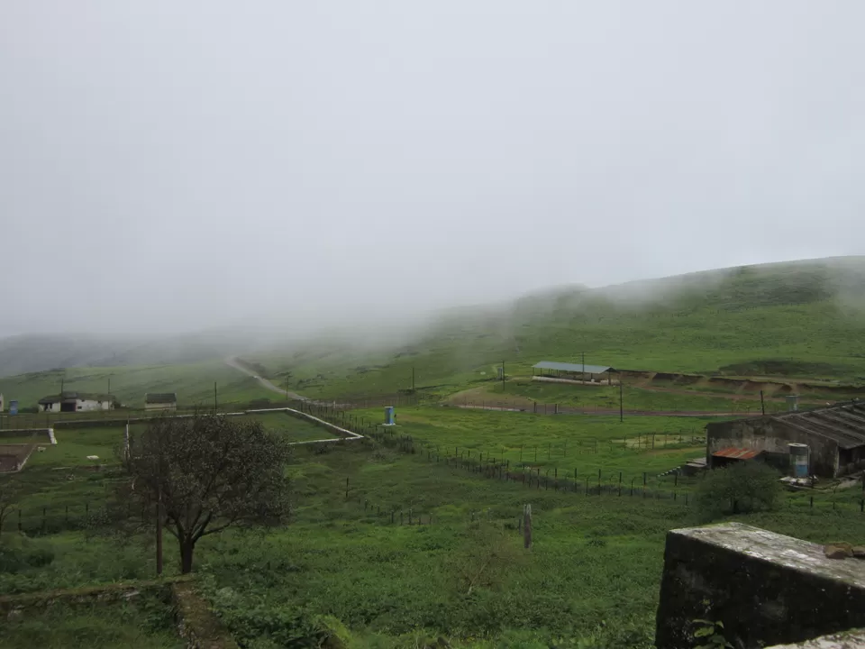Photo of Chikmagalur, Karnataka, India by Saptadeepa Bandopadhyay