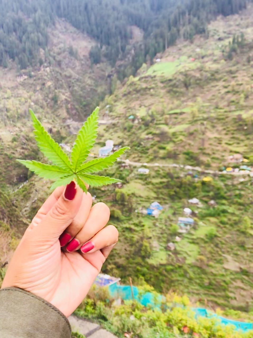 Photo of Kasol- Mini Israel of India by Anannya