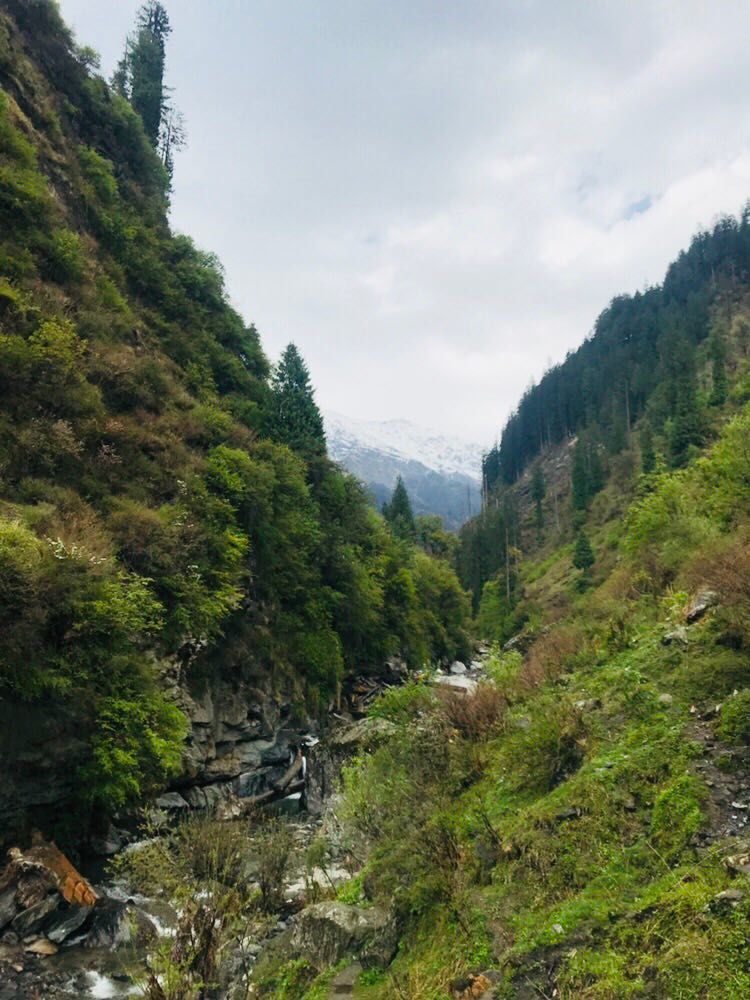 Photo of Kasol- Mini Israel of India by Anannya
