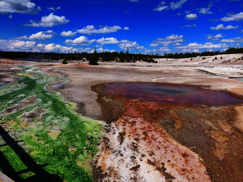 Photo of Visit to nature's wonder-Yellowstone National Park by samayu shukla