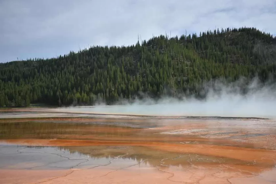 Photo of Visit to nature's wonder-Yellowstone National Park by samayu shukla