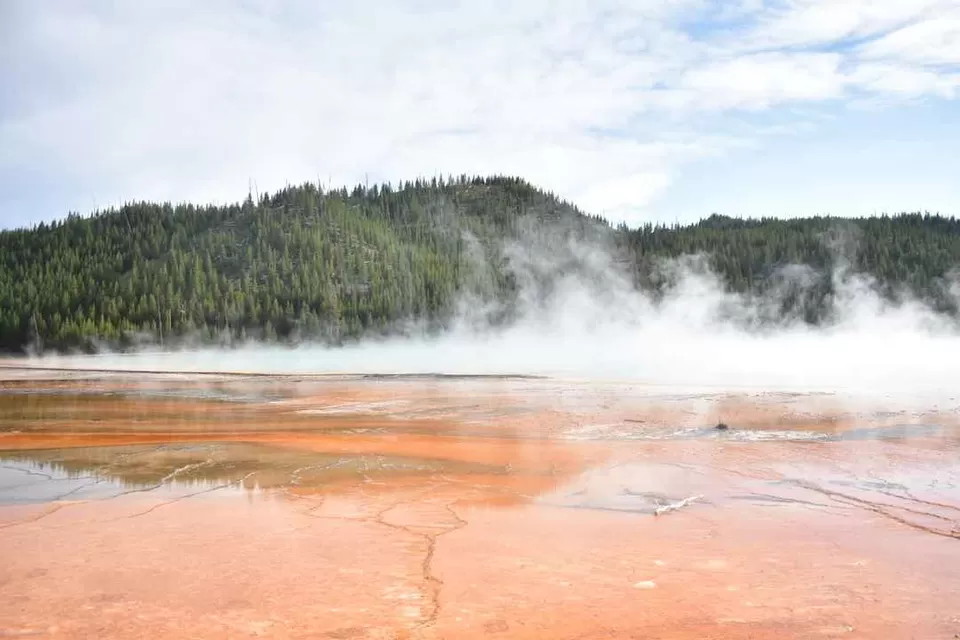 Photo of Visit to nature's wonder-Yellowstone National Park by samayu shukla