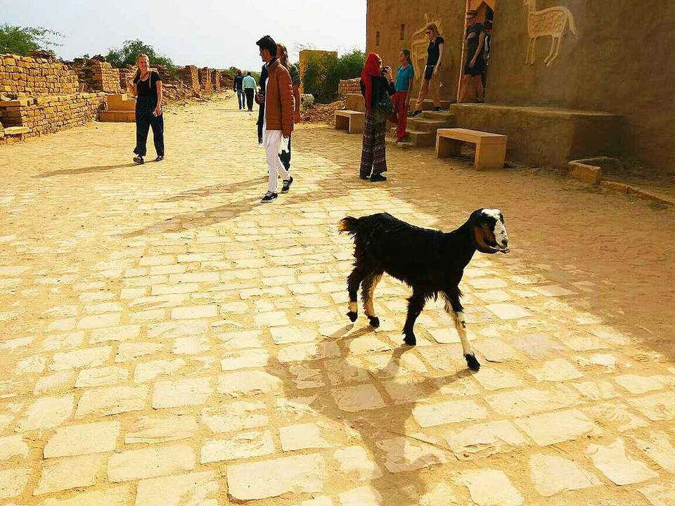Photo of Visit to Kuldhara – The haunted Village of Jaisalmer by Pranab Pal @paltravelogue