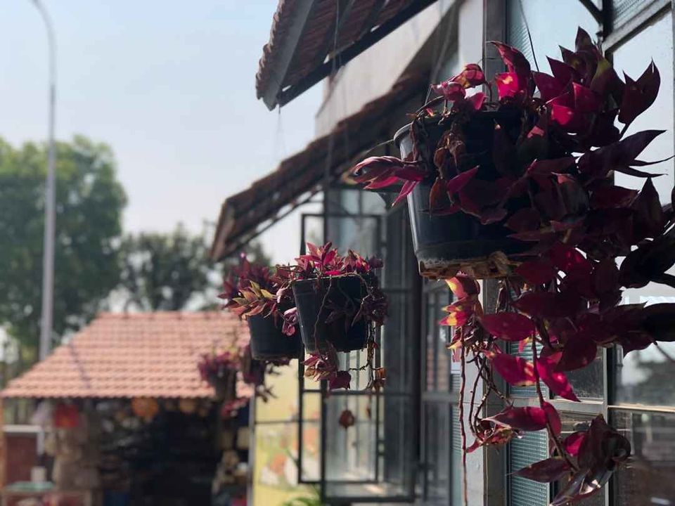 Photo of Homestay and things to do in Sakleshpur..!! by Thejaswini ChandreGowda