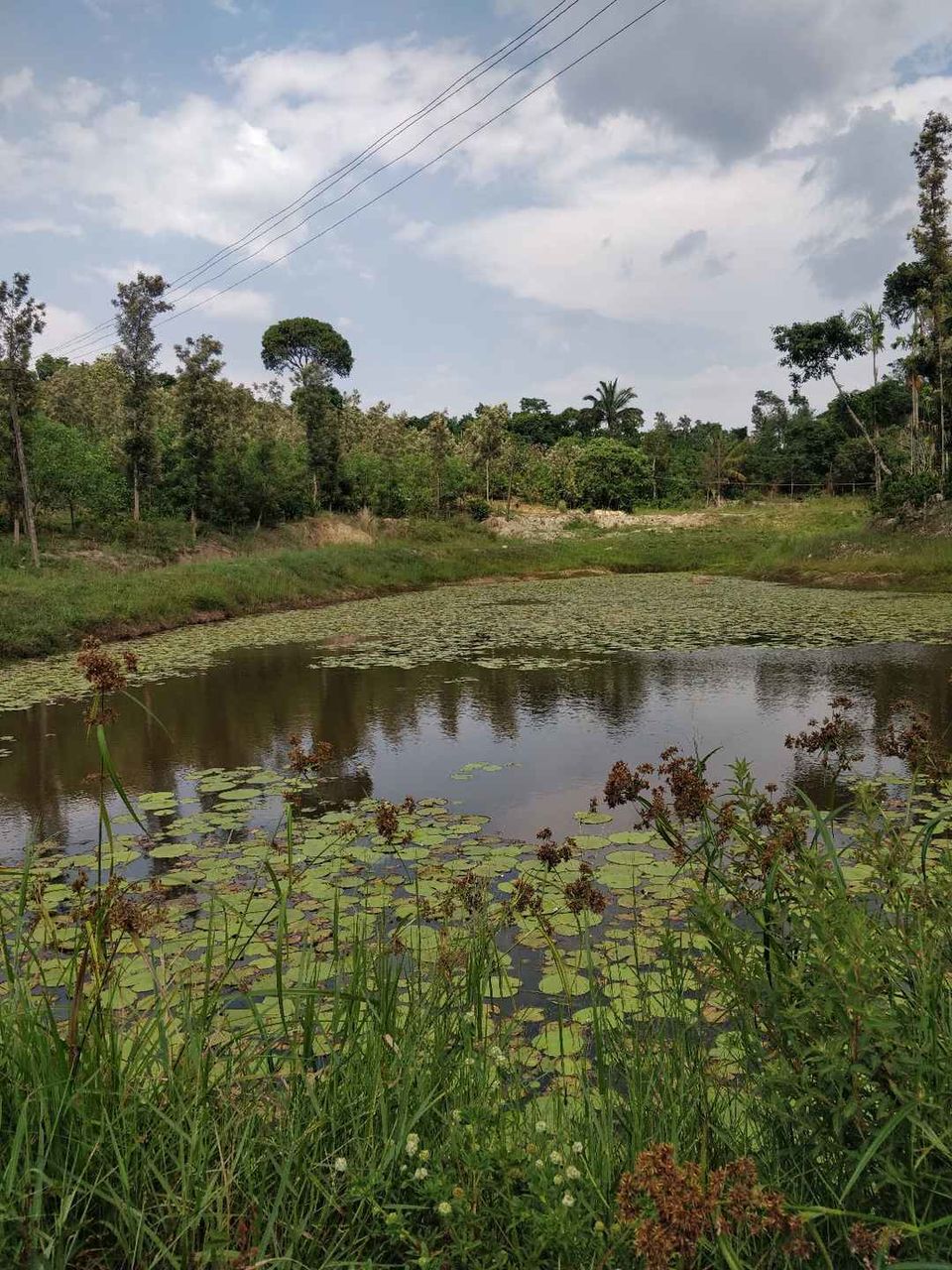 Photo of Homestay and things to do in Sakleshpur..!! by Thejaswini ChandreGowda