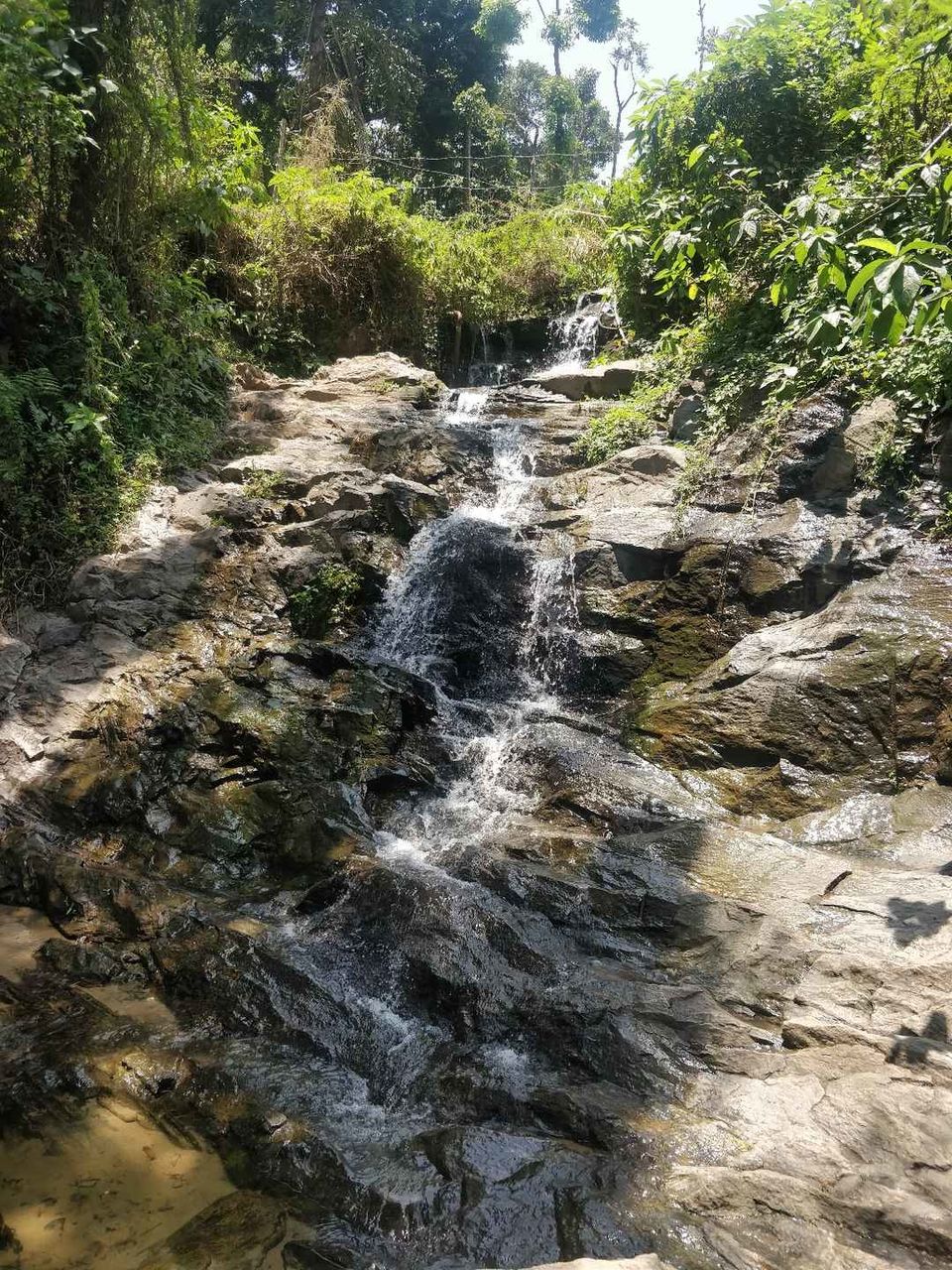 Photo of Homestay and things to do in Sakleshpur..!! by Thejaswini ChandreGowda