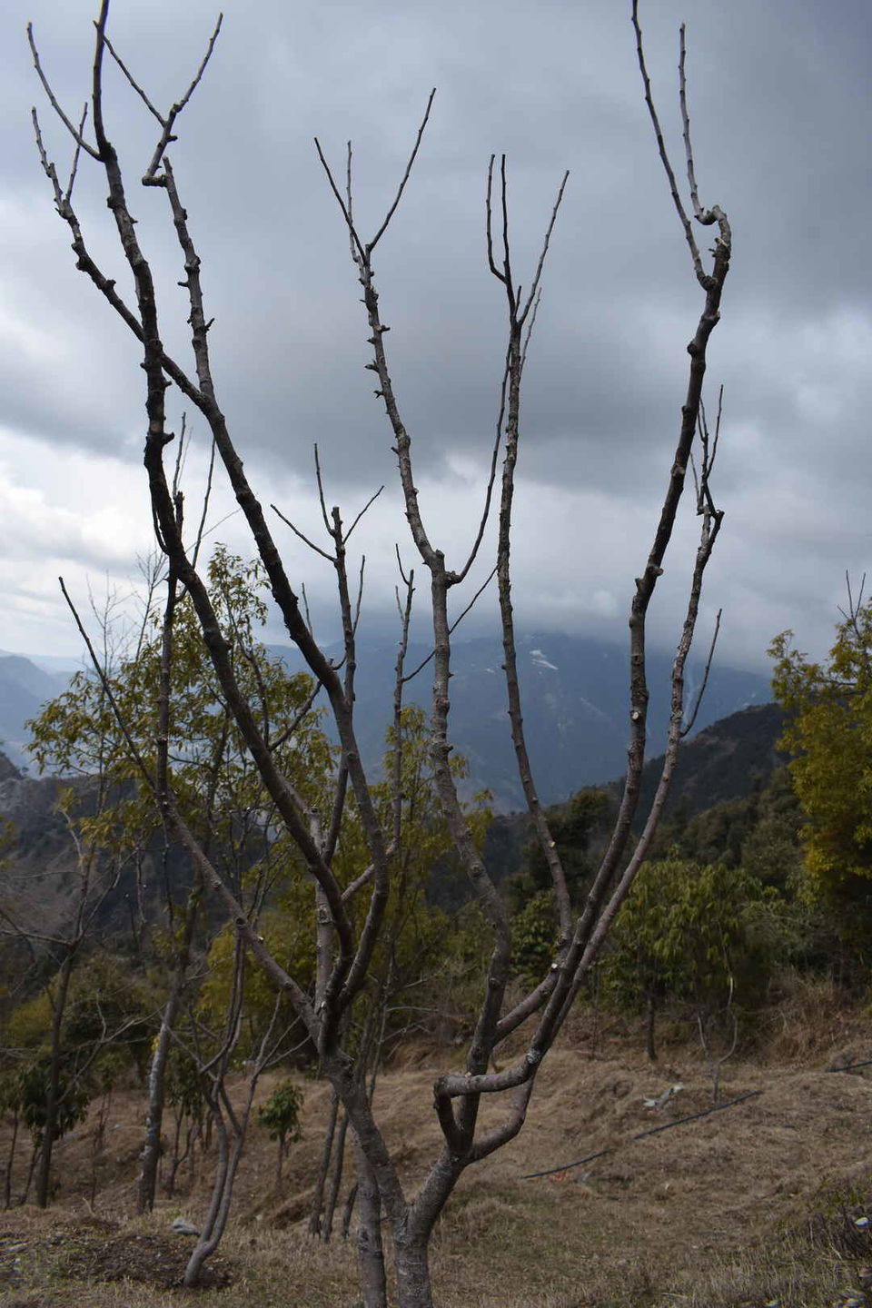 Photo of Roadtrip to Mcleod Ganj, Amtritsar and Chandigarh from Delhi in Just ₹3,900 by Ritwick Eonsam