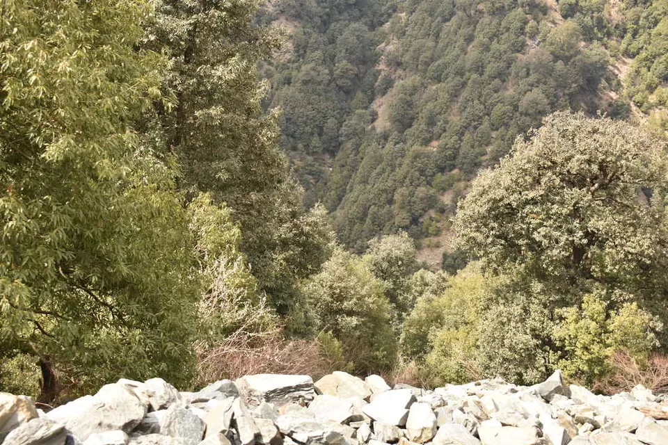 Photo of Roadtrip to Mcleod Ganj, Amtritsar and Chandigarh from Delhi in Just ₹3,900 by Ritwick Eonsam