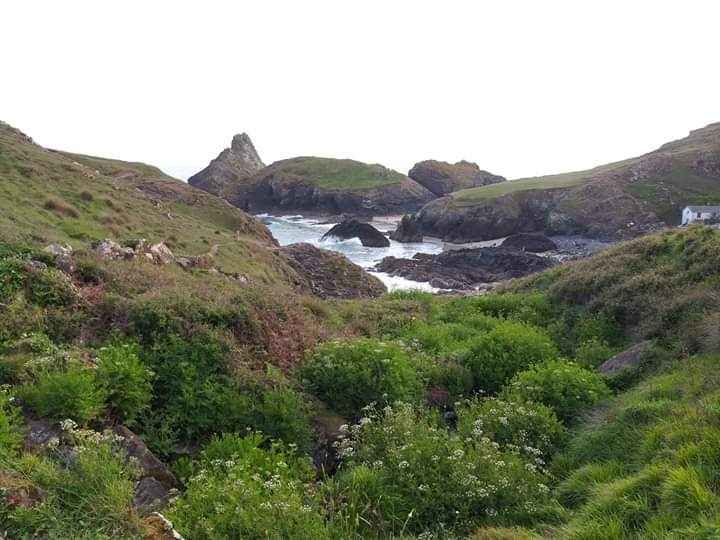 Photo of Cornwall: England's most beautiful coastline by Preeti Patankar