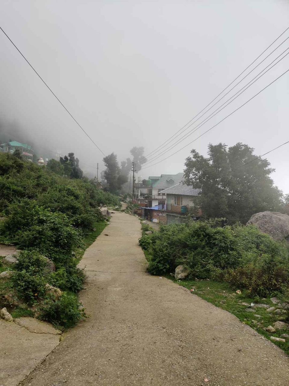 Photo of She believed she could, so she travelled alone. by Amruta Gadgil