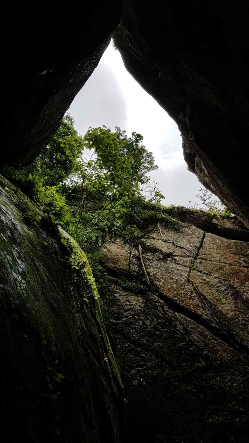 Photo of Wayanad, Kerala, India by Kanav Gulati
