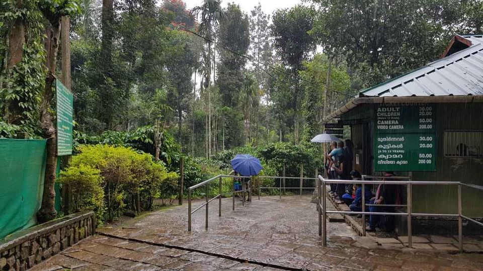 Photo of Wayanad, Kerala, India by Kanav Gulati