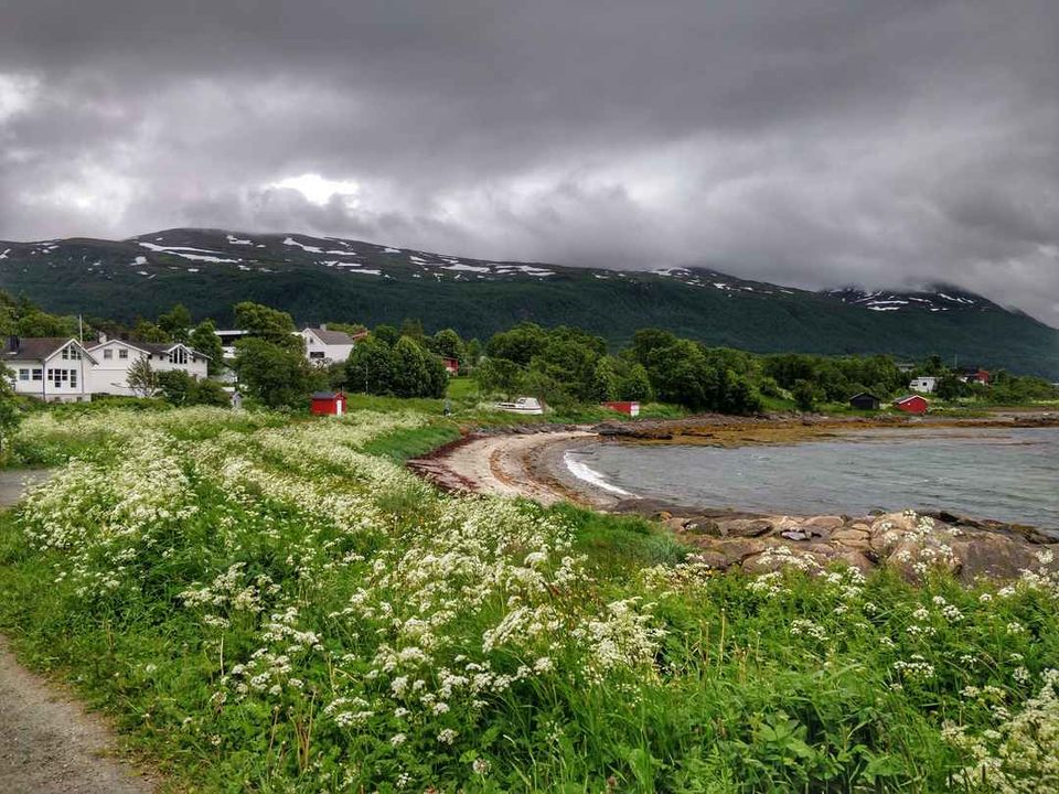 Photo of Telegrafbukta, Tromsø, Norway by Ankita Mukherji