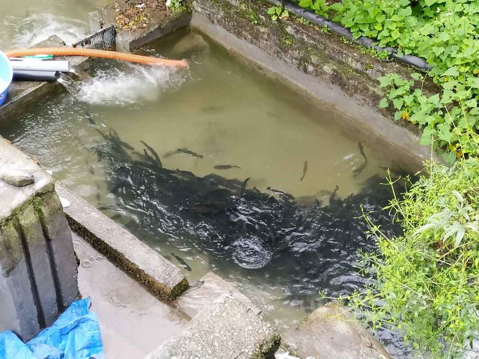 Photo of Why travelling to Manali during monsoon is both a good and bad idea? by Priya Chaudhary