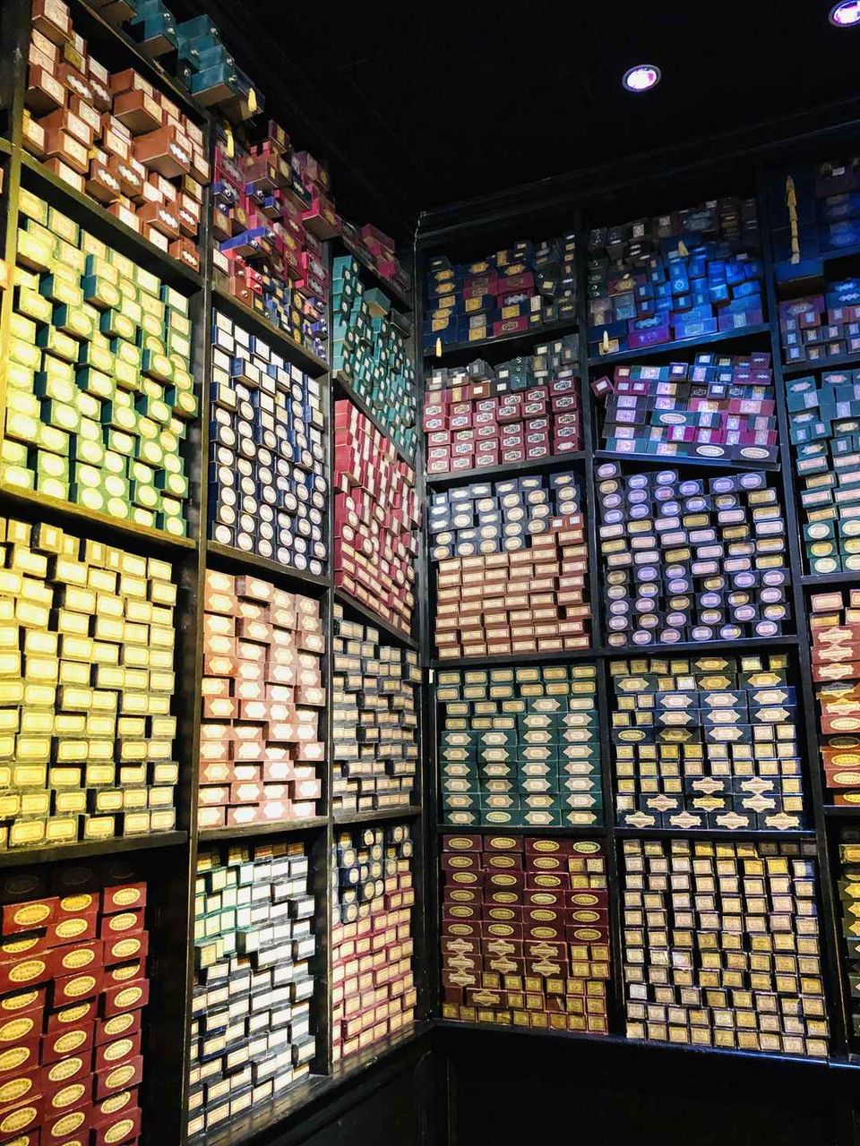 Photo of Warner Bros. Studio Tour London - The Making of Harry Potter by Nirali Shah