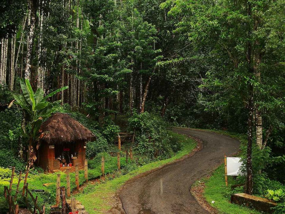 Photo of Agumbe, Karnataka, India by Kanj Saurav