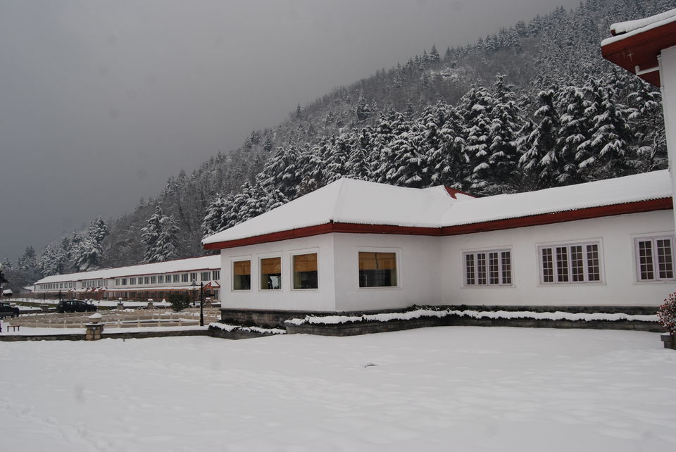 Photo of Spend Your Christmas And New Year Lavishly With The Most Incredible Offers 9/13 by Kanj Saurav
