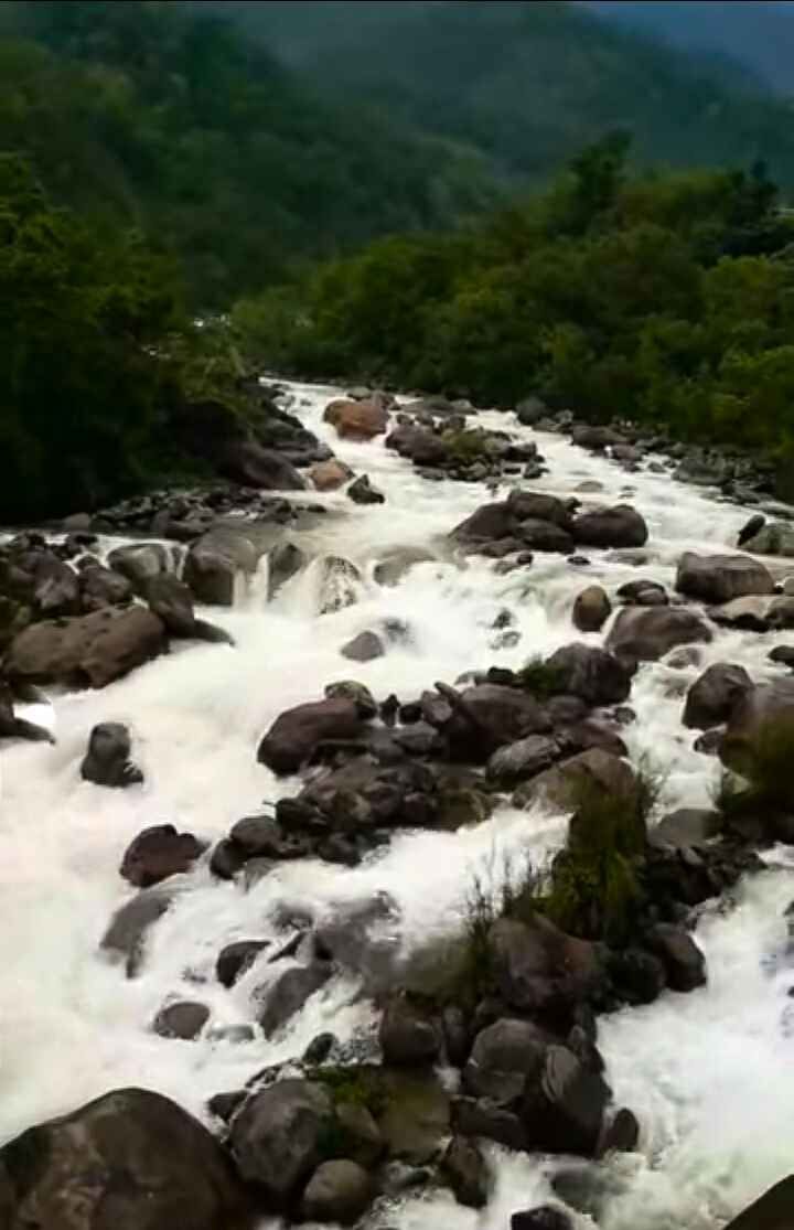 Photo of Rolep- The Untouched Gem of East Sikkim by Anil Kulung