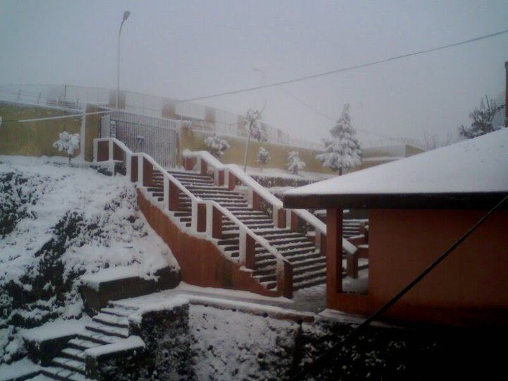 Photo of Studying in Heaven, @ G.B.P.E.C. Pauri by Sheetal Goel
