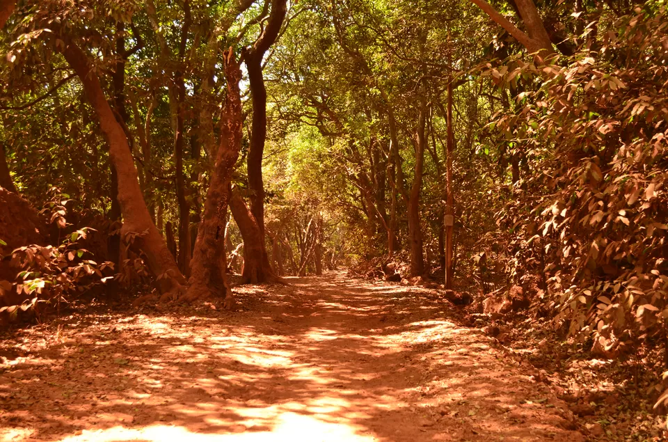 Photo of Matheran, Maharashtra, India by Sheetal Goel