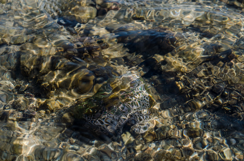 Photo of Fascinating Coral Walk @ Narara Marine National Park 9/22 by Sheetal Goel